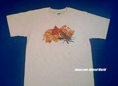 cardinal t shirt pair