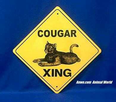 cougar crossing sign