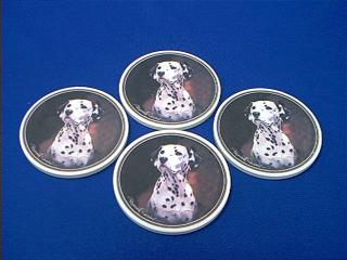 dalmatian picture coasters