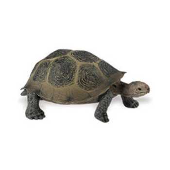 desert tortoise turtle toy miniature