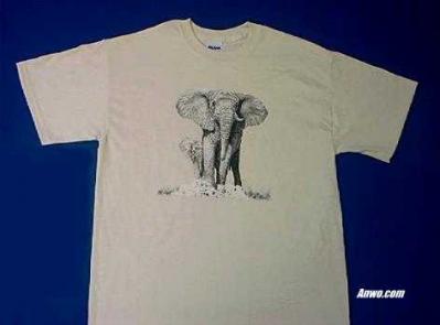 elephant shirt usa animal world