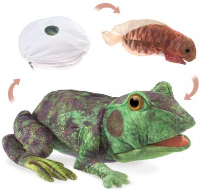 Life Cycle Frog Puppet