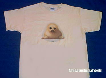 harp seal t shirt