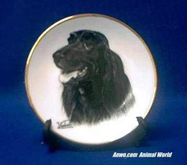 irish setter plate porcelain