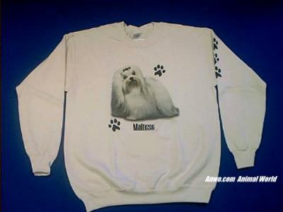 maltese sweatshirt