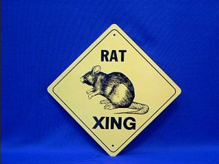 rat crossing sign