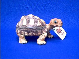 brown tortoise turtle toy