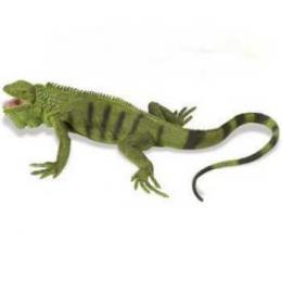 adult iguana toy miniature