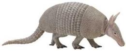 armadillo toy miniature