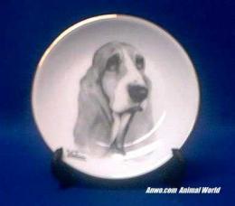 basset hound plate porcelain