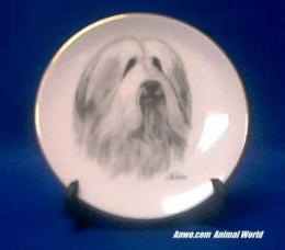 bearded collie plate porcelain