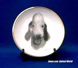 bedlington terrier plate gold trim