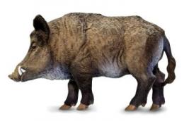 boar-toy-miniature-replica.jpg