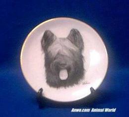 briard plate porcelain