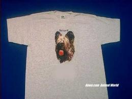 briard t shirt ash