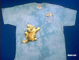 cat t shirt kitten with mice