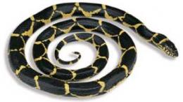 chain kingsnake toy replica