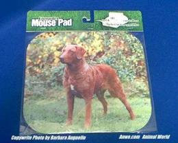 chesapeake bay retriever mouse pad