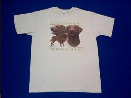 chesapeake bay  retriever t shirt