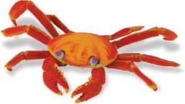 sally lightfoot crab toy gallapagos 