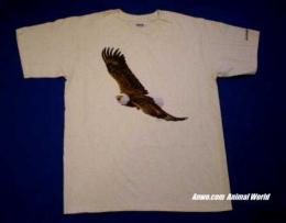 eagle t shirt usa