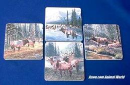 elk coasters coasterstone