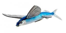 flying fish toy miniature replica safari