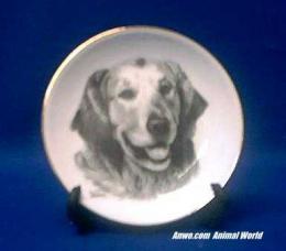 golden retriever plate porcelain