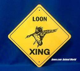 loon crossing sign