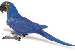 macaw_toy_hyacinth.jpg