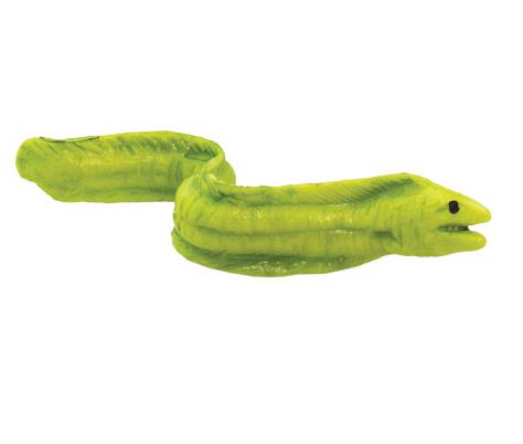 Moray Eel Toy Mini Good Luck