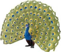 peacock toy miniature replica