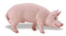 pig-toy-boar.jpg