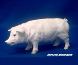 white pig figurine statue small