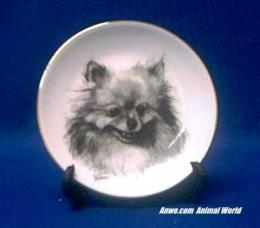 pomeranian plate porcelain