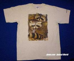 raccoon t shirt usa