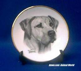 rhodesian ridgeback plate porcelain