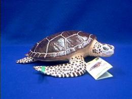 sea turtle toy large