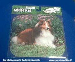 shetland sheepdog mousepad sheltie