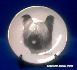 skye terrier plate porcelain