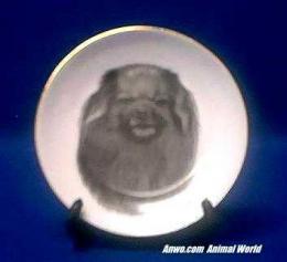 tibetan spaniel plate porcelain