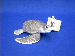 baby sea turtle toy