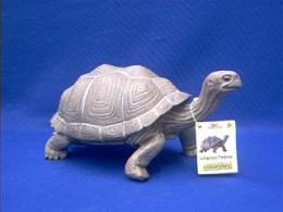 galapagos turtle toy