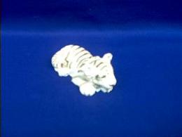 white tiger figurine